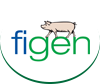 FIGEN